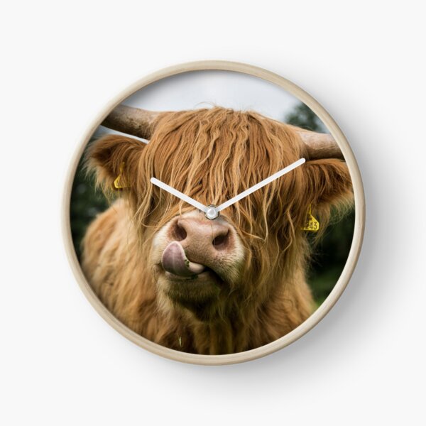 Highland Cow Clock