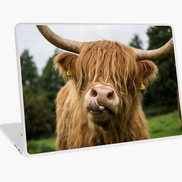 Vista previa del artículo con la obra «Vaca de las tierras altas», diseñado y vendido por Alex Sharp.