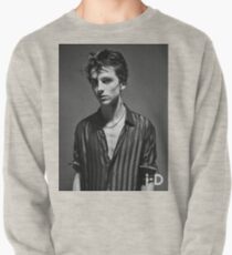 Timothee Chalamet Pullover