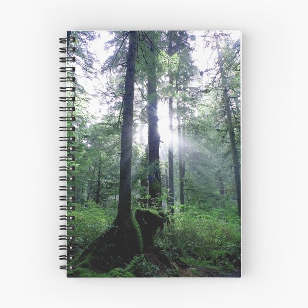 Item preview, sun behind trees designed and sold by Jeffrey Sinnock.