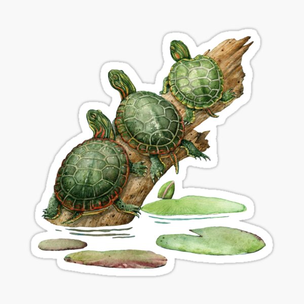 Painted Turtles Sticker