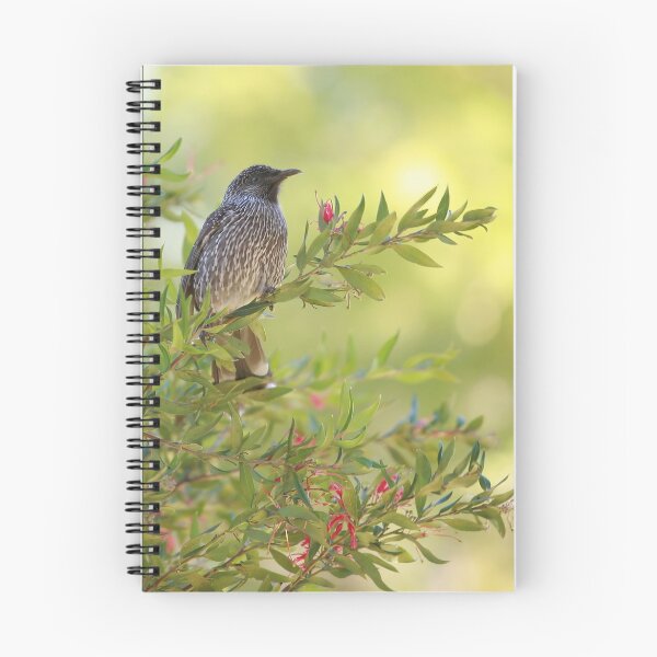 Item preview, Birdsong  designed and sold by Kim Roper.