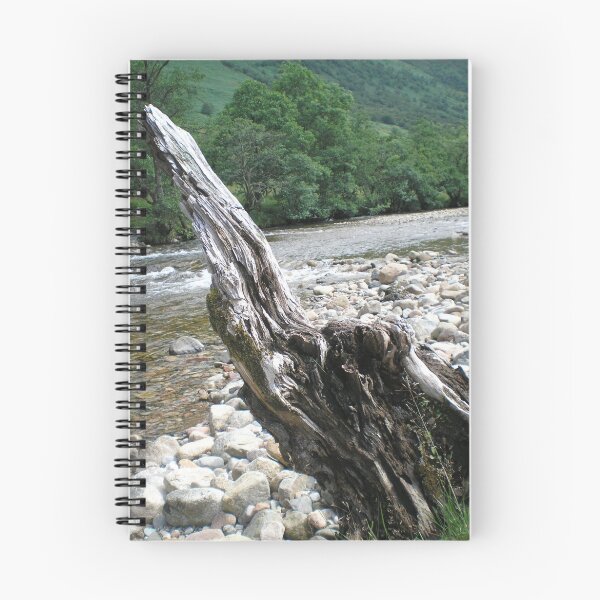Item preview, Stumped! designed and sold by Edward Gunn.
