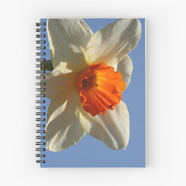 Artikelvorschau, Daffodil and sky entworfen und verkauft von hamsta12.
