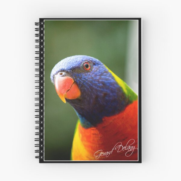 Item preview, Rainbow Lorikeet designed and sold by Gerard Delany.