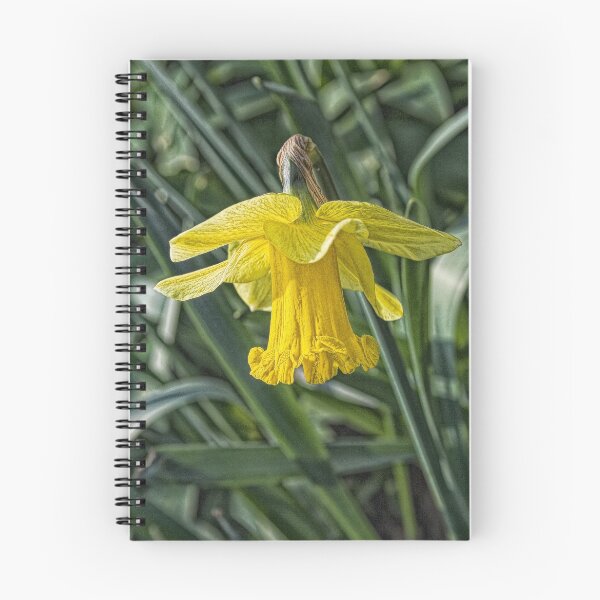 Aperçu de l'œuvre  daffodil l créée et vendue par spemj.