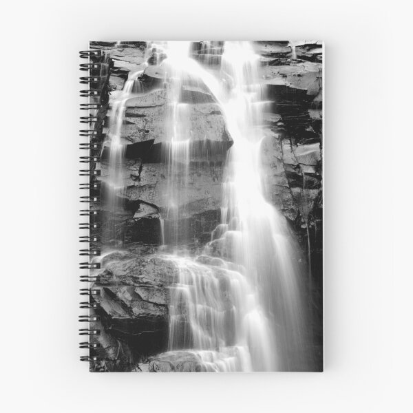 Aperçu de l'œuvre Sheoak Falls Victoria créée et vendue par Michael  Bermingham.