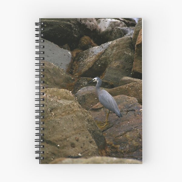 Item preview, Hungry Cormorant designed and sold by templar.