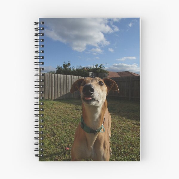 Item preview, Galgo descarado designed and sold by houndpix.