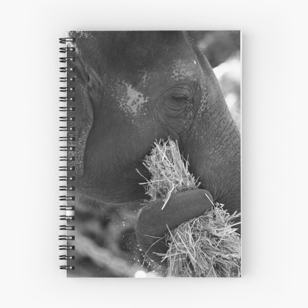 Item preview, Elephant's Lunch designed and sold by Gavan  Mitchell.