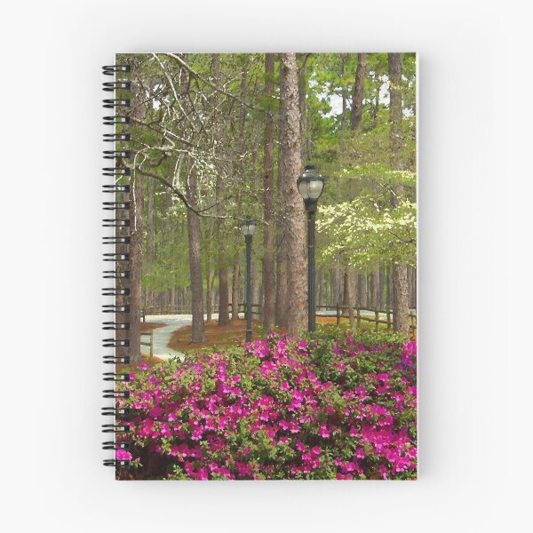 Artikelvorschau, Park Painting entworfen und verkauft von Tom Michael Thomas.