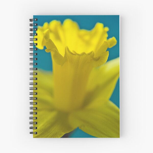 Item preview, Daffodil 4 designed and sold by Jaxybelle.