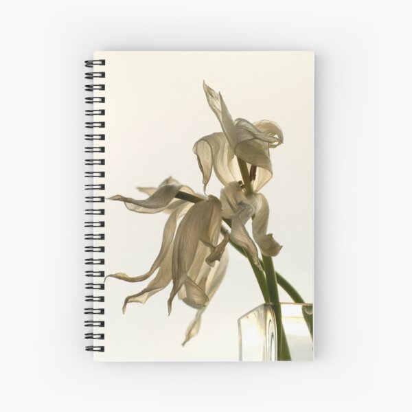 E V E R Y W H E R E Spiral Notebook