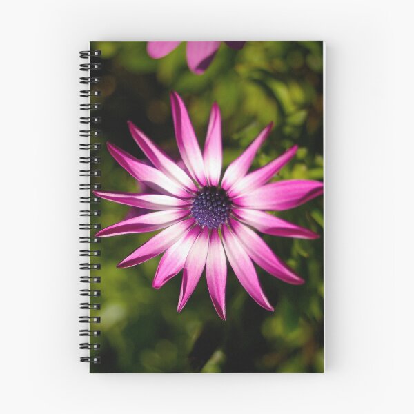 Item preview, Pink Pure Perfection Presented Photographicly designed and sold by Malin Nordlund.