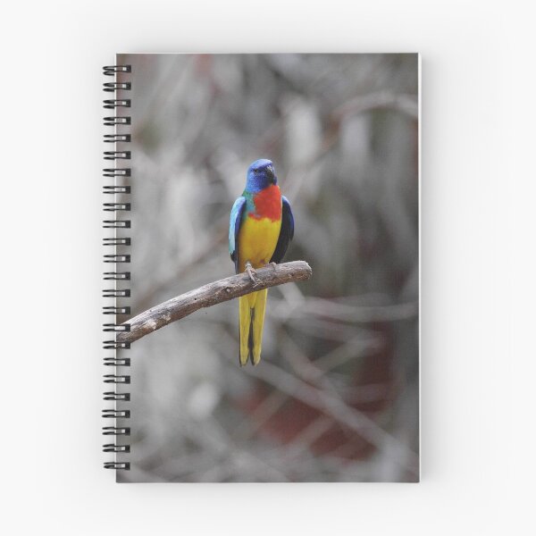 Item preview, Bird On A Branch  designed and sold by EOS20.