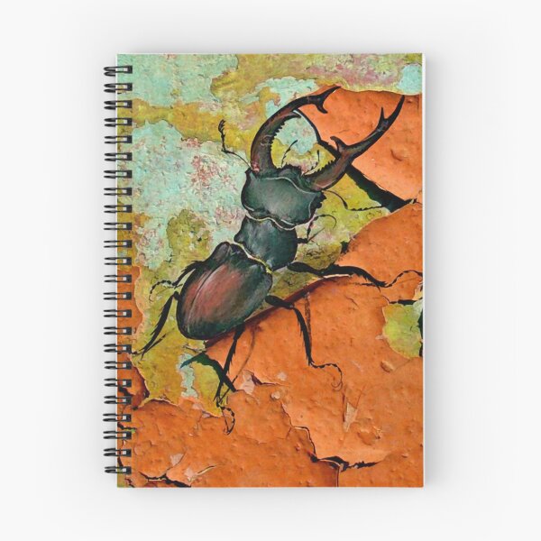 Artikelvorschau, Beetle entworfen und verkauft von DigitalMuse.