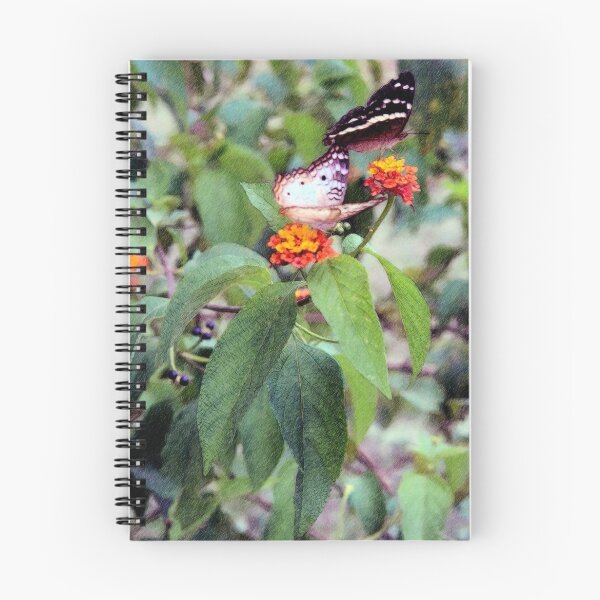 Item preview, Two Peacock Butterflies On Lantana designed and sold by DigitalMuse.