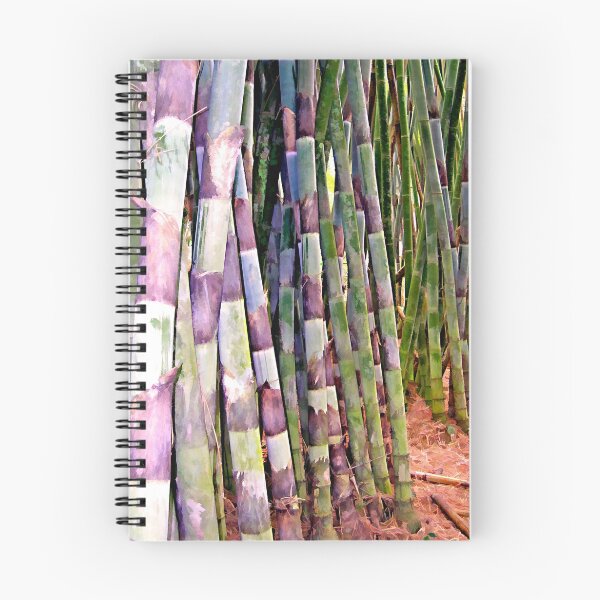 Item preview, Bamboo 1 designed and sold by DigitalMuse.
