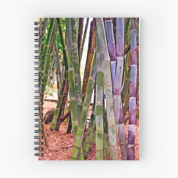 Item preview, Bamboo 2 designed and sold by DigitalMuse.