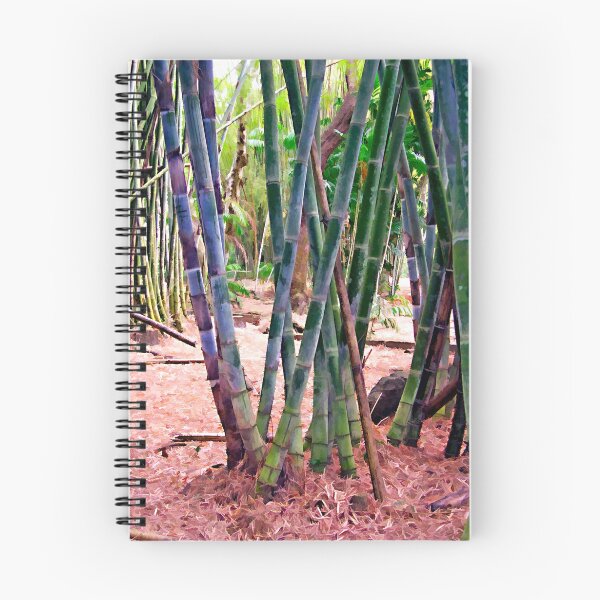 Item preview, Bamboo 3 designed and sold by DigitalMuse.