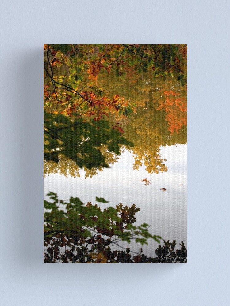 Alternate view of Double Feature Canvas Print