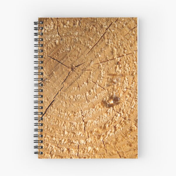 Item preview, Tear designed and sold by Walter Quirtmair.
