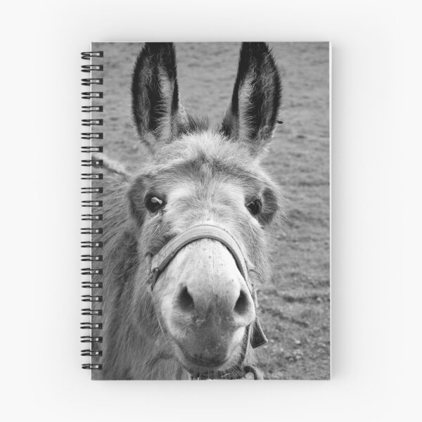 Item preview, Mule designed and sold by Ruben De Wasch.