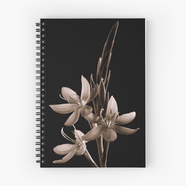 Item preview, Plantscapes designed and sold by TonyLegg.