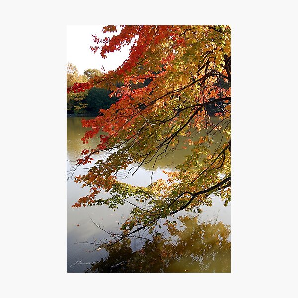 Fall Fashion Photographic Print