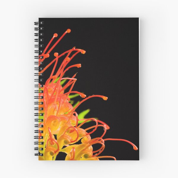 Item preview, Grevillea designed and sold by Shane Howlett.