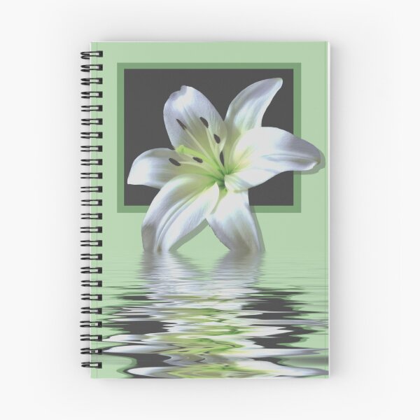 Item preview, framed Lilly designed and sold by shall.