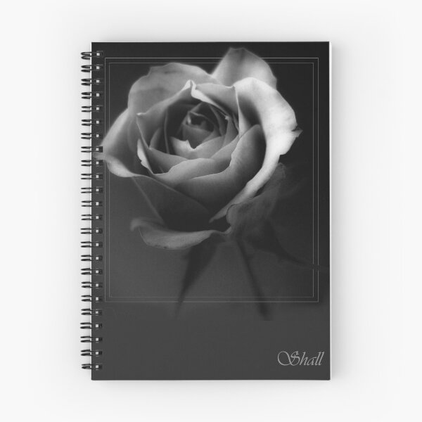 Aperçu de l'œuvre Rose dans Mono 2 créée et vendue par shall.