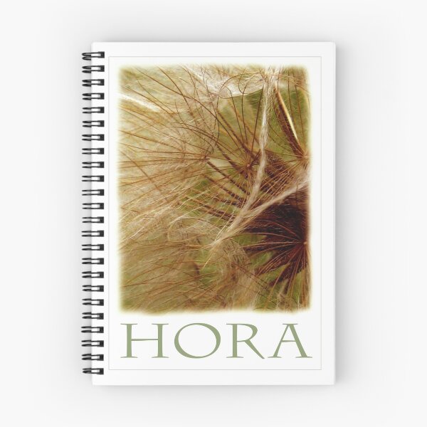 Item preview, HORA designed and sold by Katseyes.