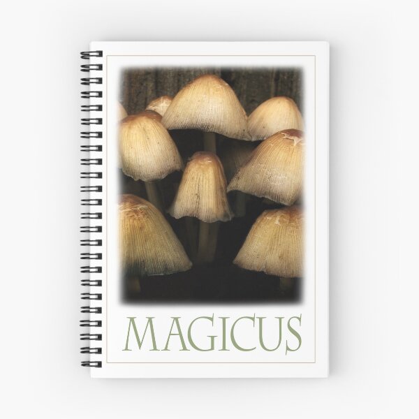 Item preview, MAGICUS designed and sold by Katseyes.