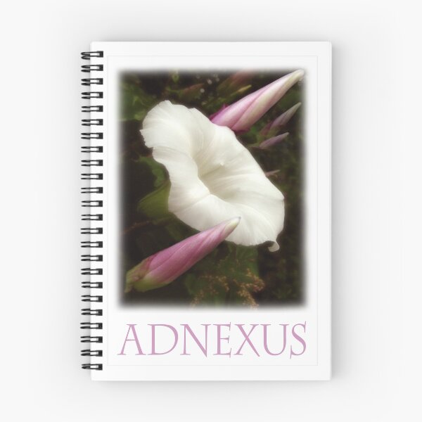 Item preview, ADNEXUS designed and sold by Katseyes.
