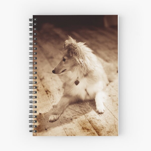 Aperçu de l'œuvre Sheltie Sépia créée et vendue par Moth.