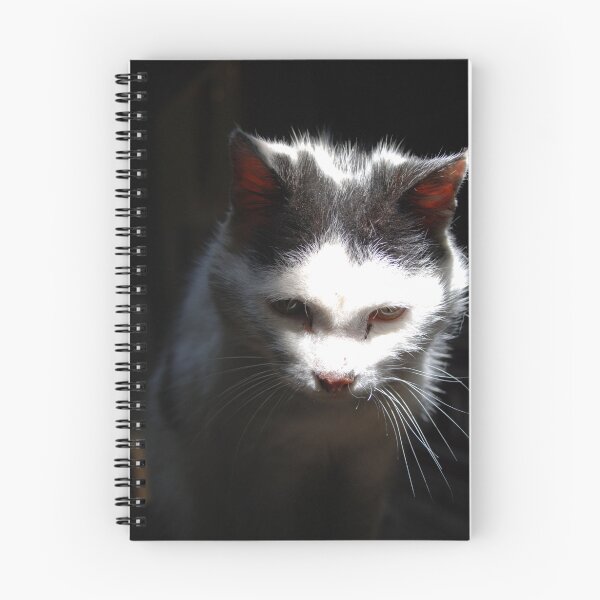 Item preview, Old Girl of the Musuem designed and sold by imageworld.
