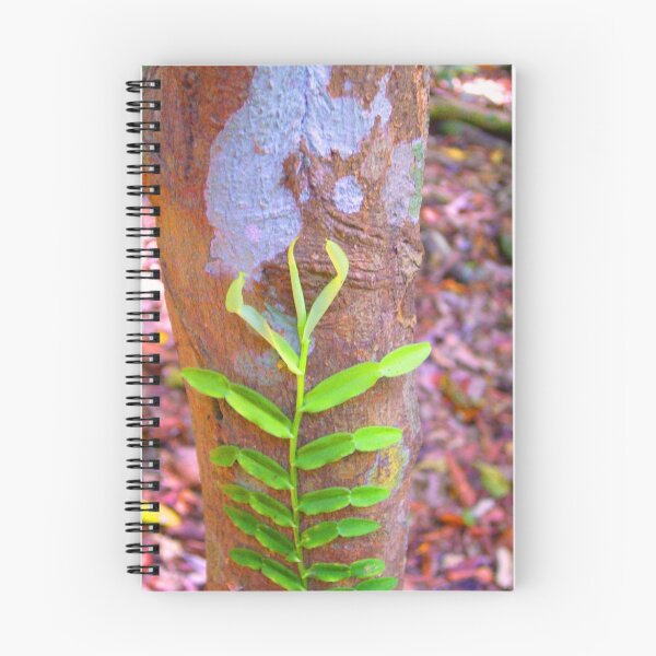 Aperçu de l'œuvre Tree Vine créée et vendue par FABART.