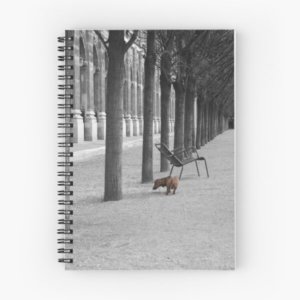 Artikelvorschau, Row of Trees, Paris entworfen und verkauft von Sarah1985.