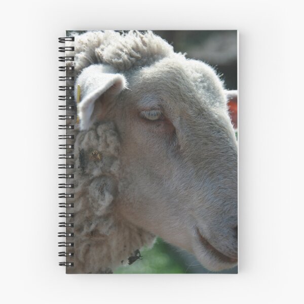 Item preview, I love ewe designed and sold by Justine Humphries.
