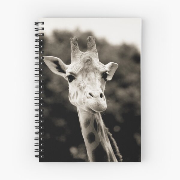 Item preview, Mr 'G' designed and sold by monkeyfoto.