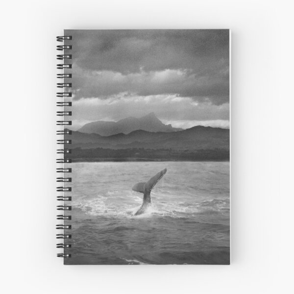 Item preview, Whale at Mt Warning  designed and sold by Peter Masters.