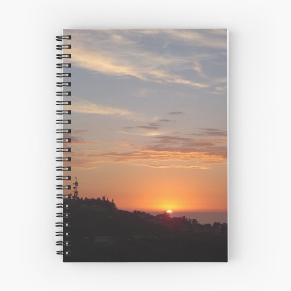 Item preview.