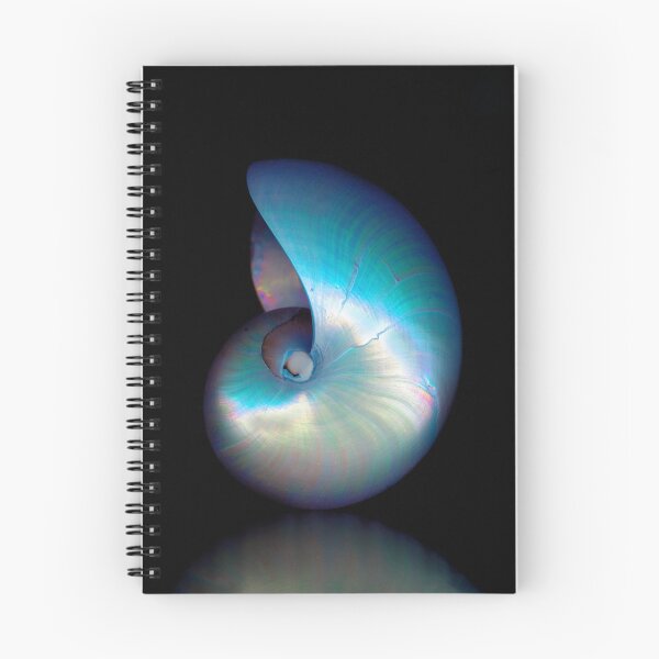 Item preview, Nautilo designed and sold by Peter Masters.