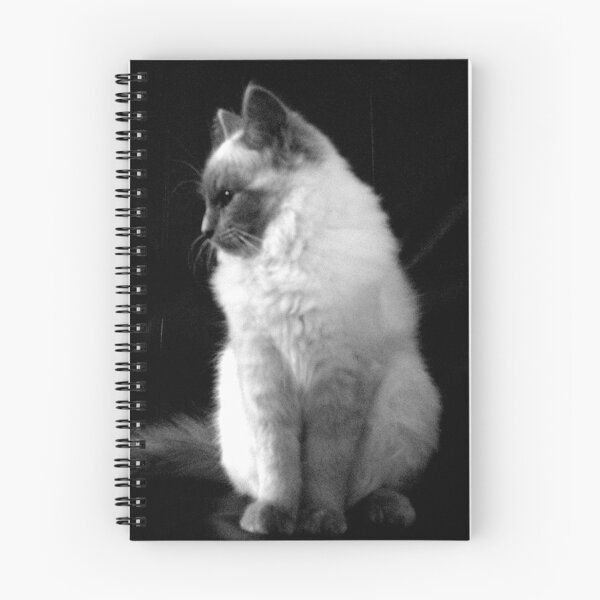Item preview, Birman on Leather designed and sold by HelenBanham.