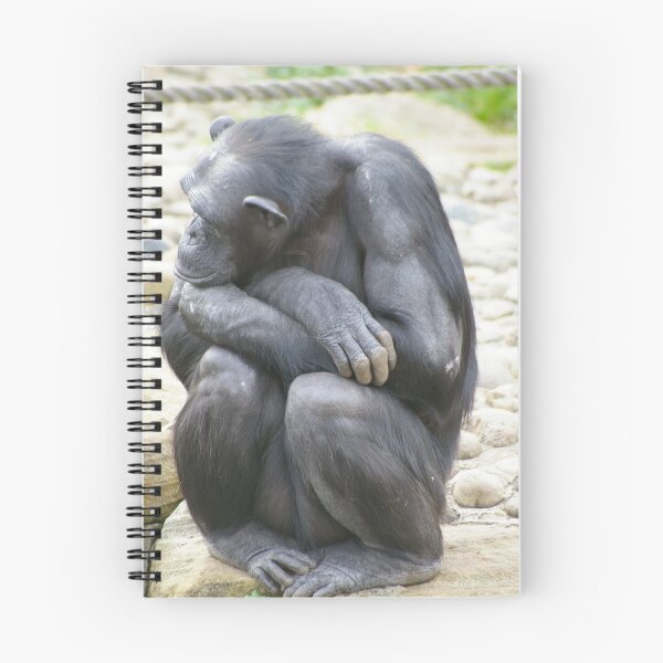 Item preview, Monkey designed and sold by Nick Hartigan.
