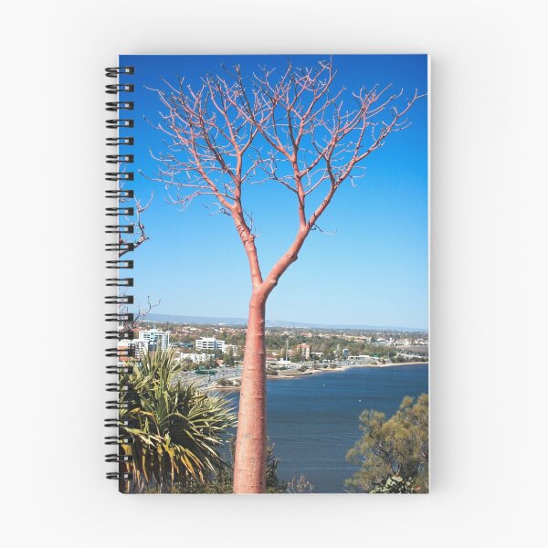 Item preview, Boab Tree designed and sold by EOS20.