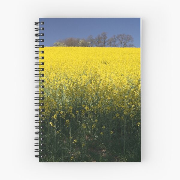 Item preview, Field designed and sold by Walter Quirtmair.