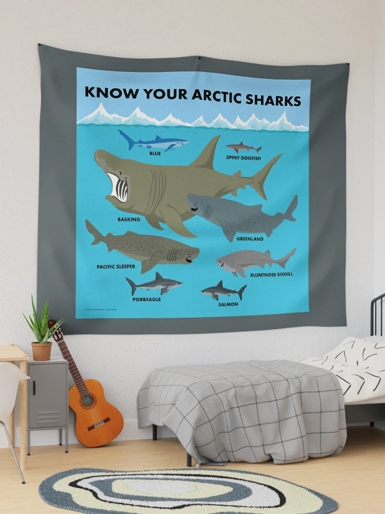 Small sharks.? Artist: - Pikamee Kettleposting