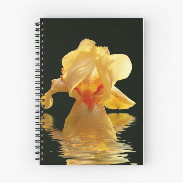 Item preview, Golden Glow designed and sold by Maria Dryfhout.